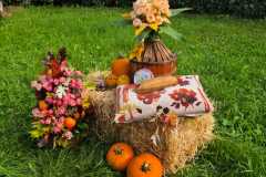 WhatsApp-Image-2025-10-10-at-15.08.33-1