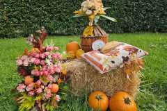 WhatsApp-Image-2025-10-10-at-15.08.33