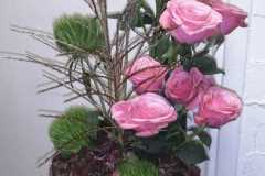 WhatsApp-Image-2025-10-13-at-09.16.25 WhatsApp-Image-2025-10-13-at-09.16.25