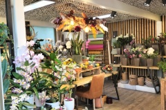 Dayfleursmagasin1
