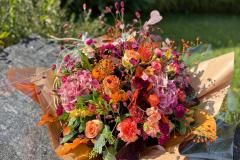 WhatsApp-Image-2025-10-14-at-16.19.11-1