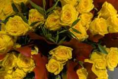 WhatsApp-Image-2025-10-14-at-14.03.48-1 WhatsApp-Image-2025-10-14-at-14.03.48-1