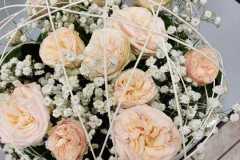 WhatsApp-Image-2025-10-10-at-14.14.28 WhatsApp-Image-2025-10-10-at-14.14.28