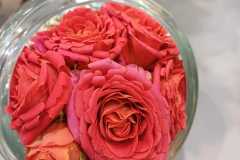 WhatsApp-Image-2025-10-10-at-14.18.12-1 WhatsApp-Image-2025-10-10-at-14.18.12-1