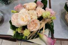 WhatsApp-Image-2025-10-10-at-14.18.12 WhatsApp-Image-2025-10-10-at-14.18.12