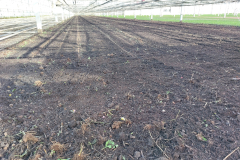 Soil ready for new Santinis