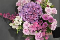 WhatsApp-Image-2025-10-21-at-12.04.48 WhatsApp-Image-2025-10-21-at-12.04.48