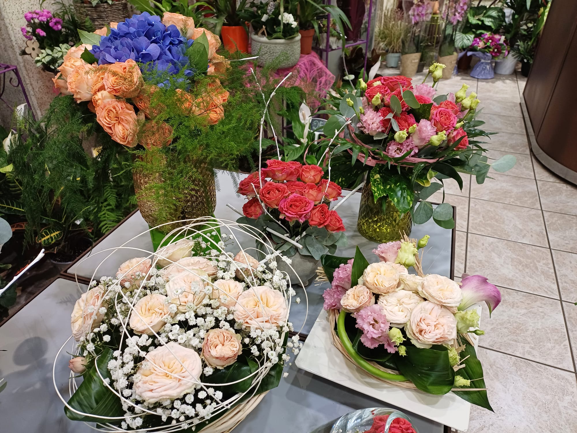 WhatsApp Image 2025-10-10 at 14.14.09