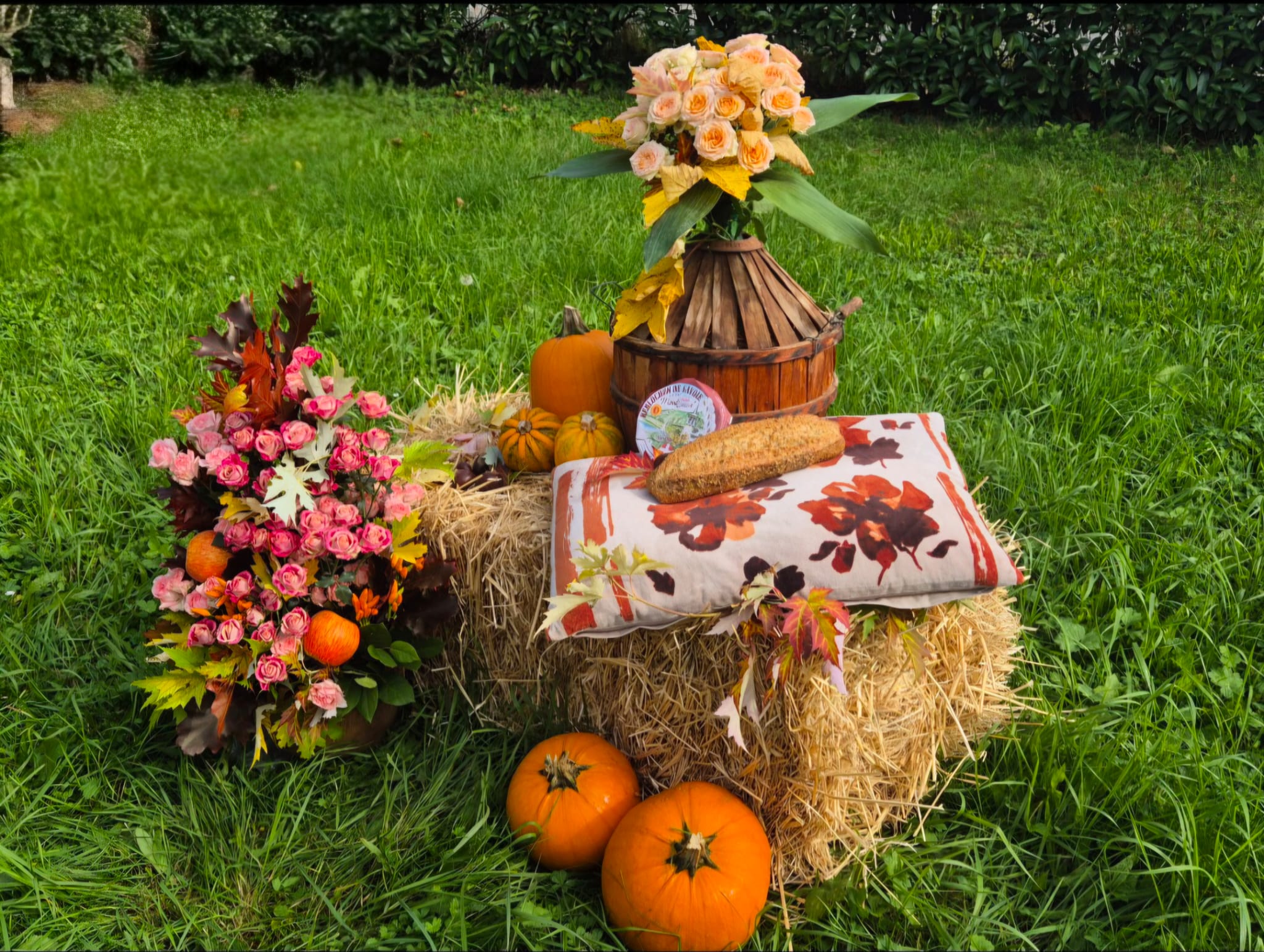 WhatsApp Image 2025-10-10 at 15.08.33 (1)