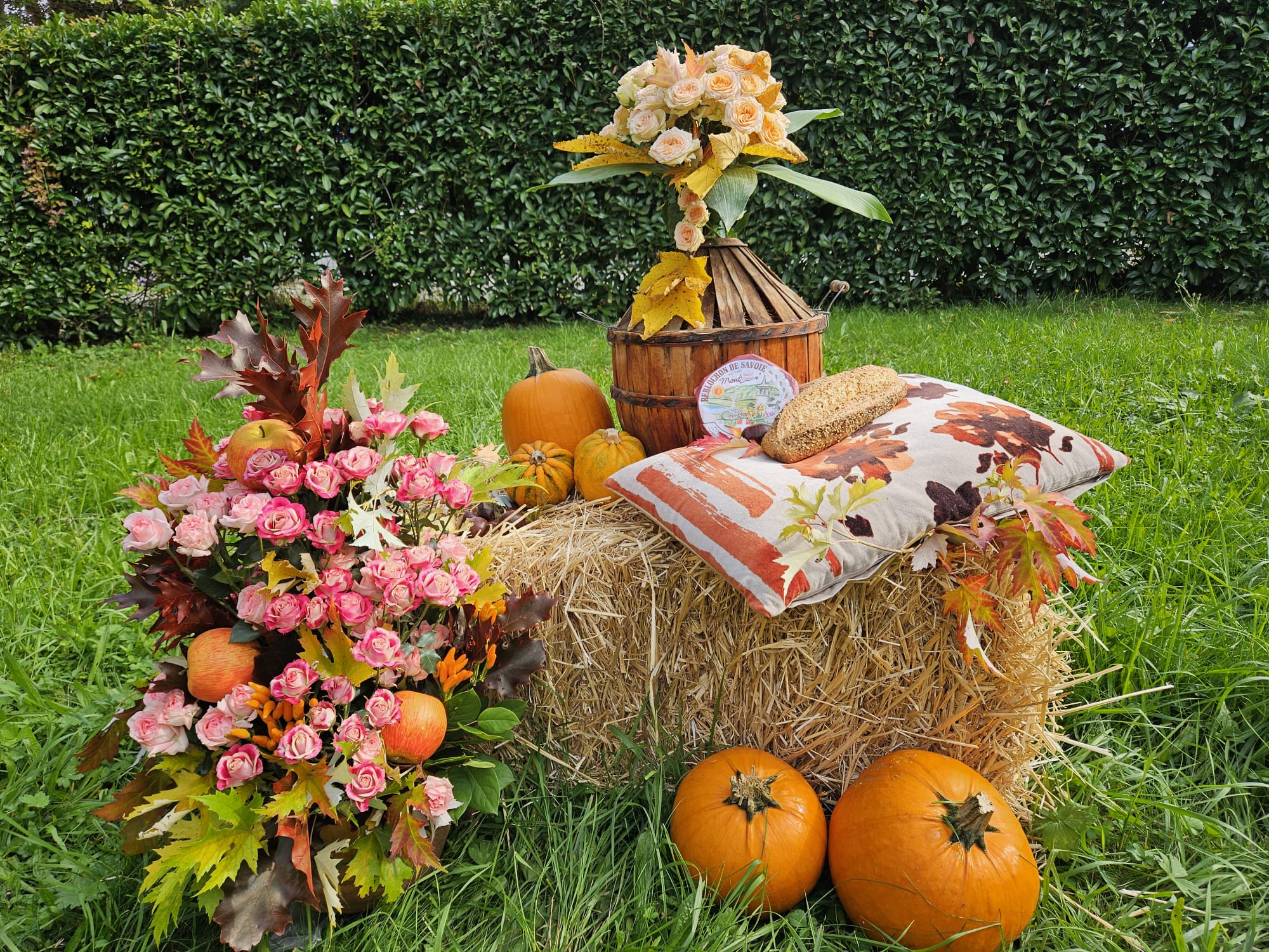 WhatsApp Image 2025-10-10 at 15.08.33