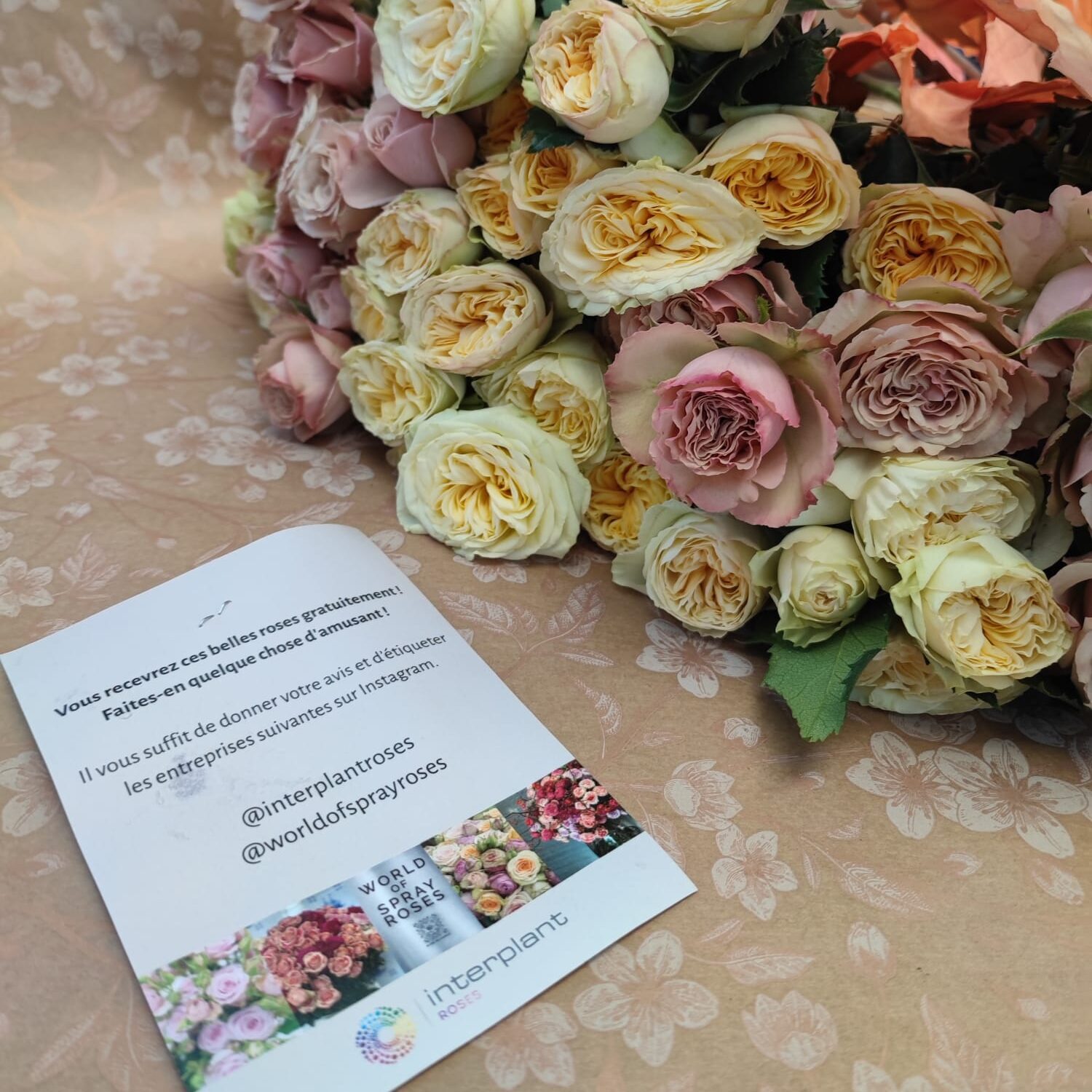 WhatsApp Image 2025-10-11 at 15.39.44